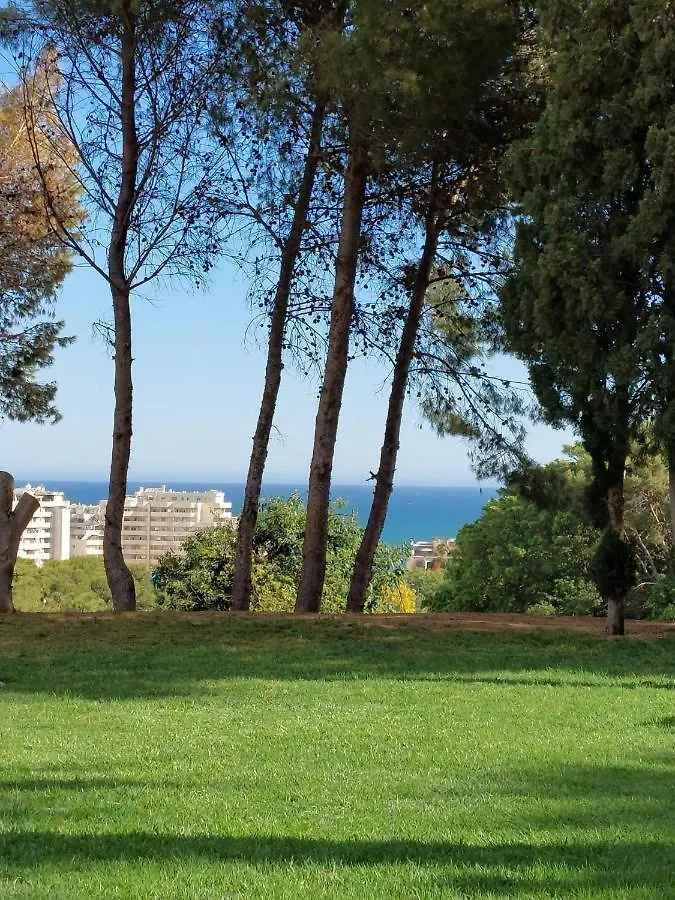 Benalmadena Studio In Gamonal